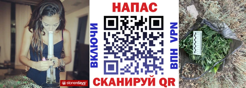 Бошки Шишки планчик  Купить  Махачкала 